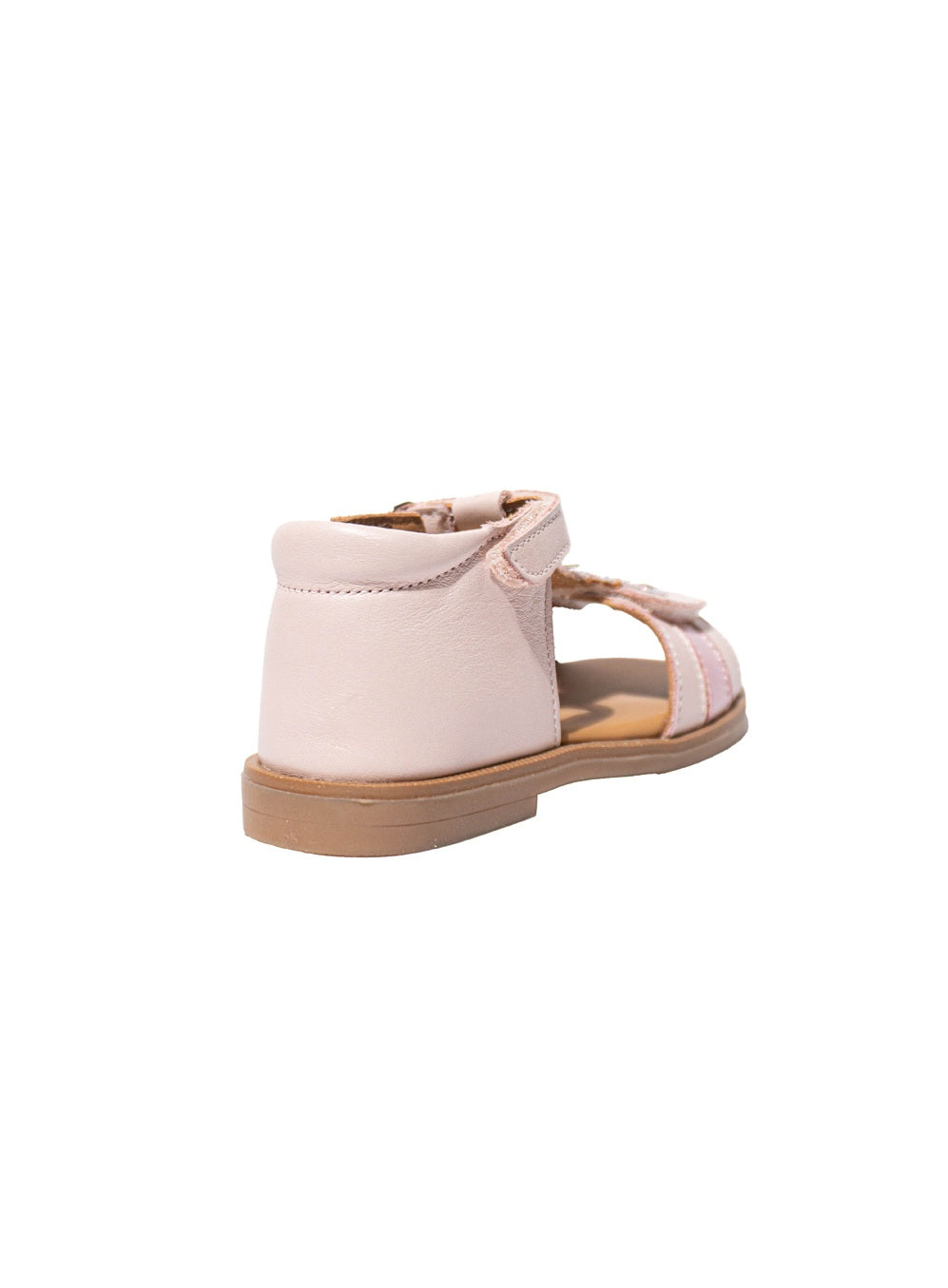 PAON ROSE