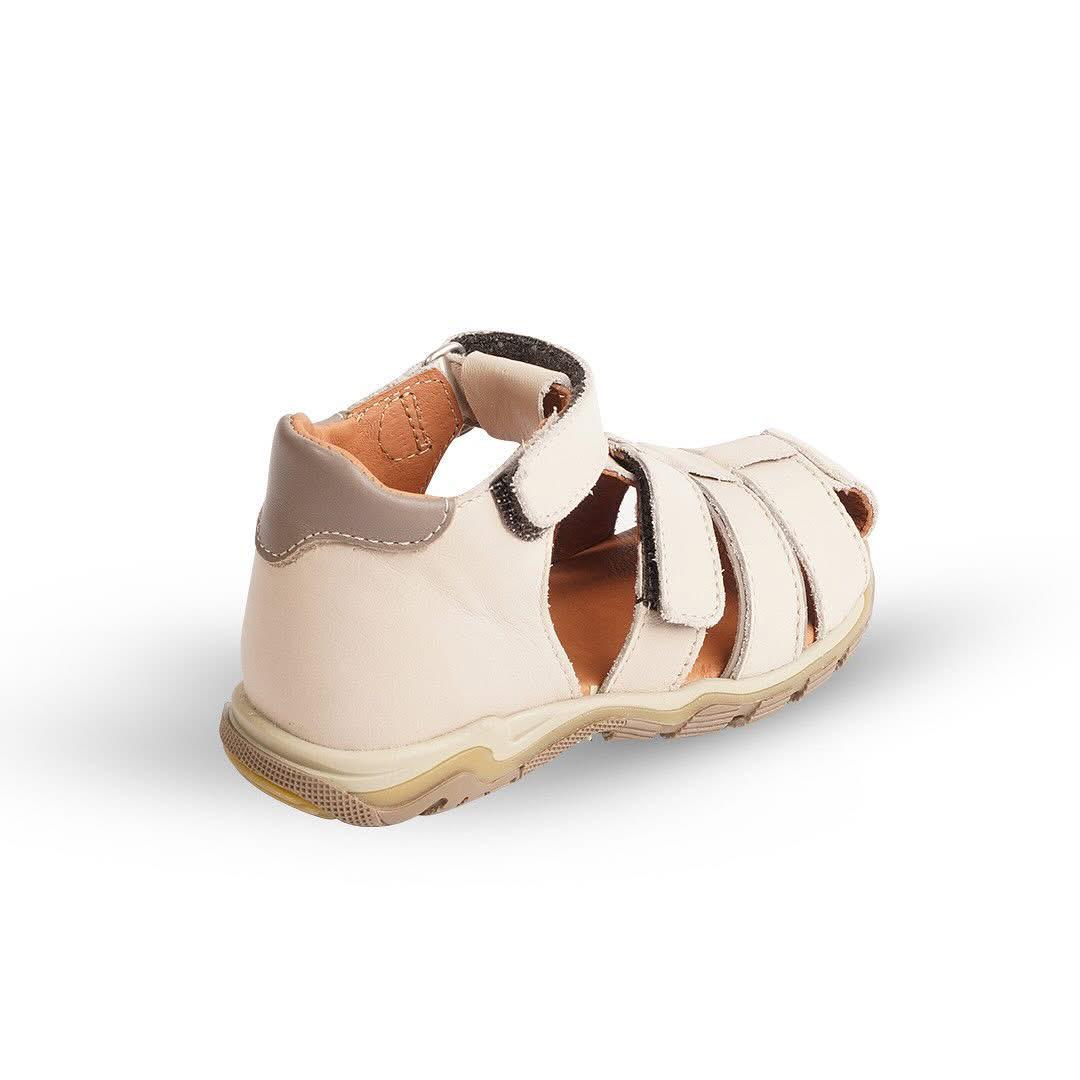 HARRY BEIGE