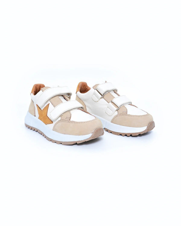 Star Beige